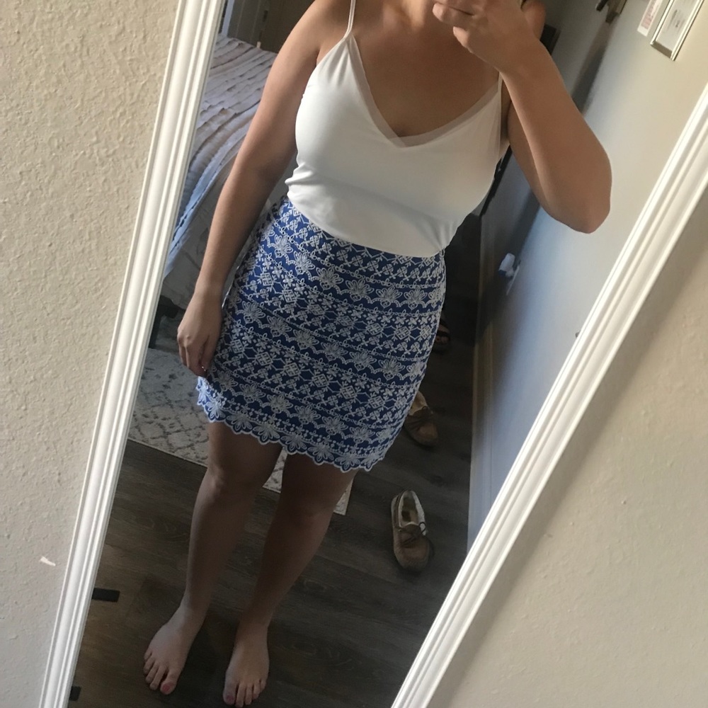 Loft embroidered skirt